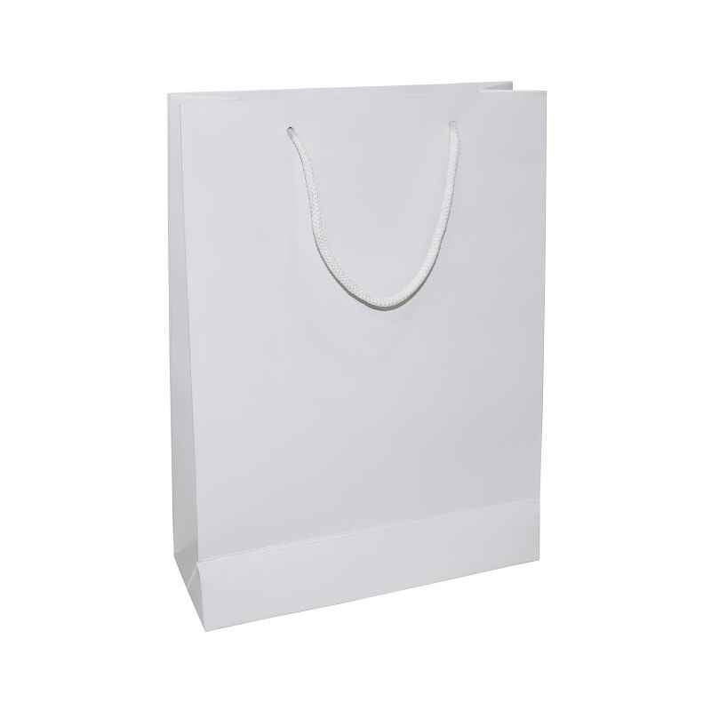 Aspen Matte Laminated White Paper Bag, AC-033-004 (Pack of 96)