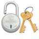 Godrej Freedom 7 Levers Brass & SS Padlock (2 Keys), 3066