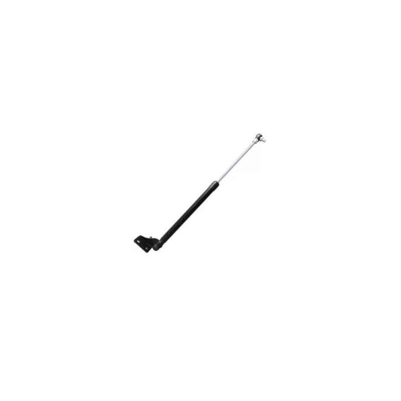Monroe Dicky Lifter For Hyundai i10, M2N3SG020L