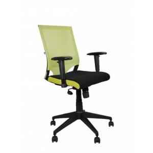 Bluebell Ergonomics Rainbow Mid Back Office Chair"|" BB-RB-02