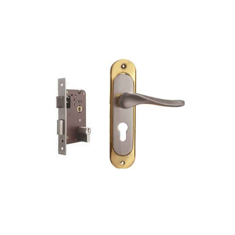 Plaza Audi Gold Silver Finish Handle with 200mm Pin Cylinder Mortice Lock & 3 Keys
