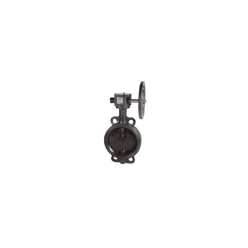 Sant 2 Inch Cast Iron Butterfly Valve, CR 21A