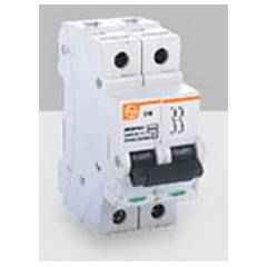 L&T 6A C Curve 2 Pole MCB, BB20060C