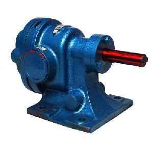 Rotodel 50 lpm Blue Standard Rotary Gear Pump, HGN 100