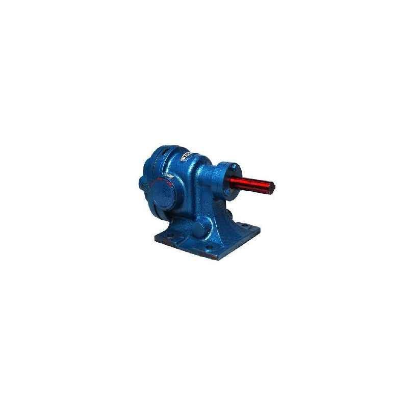 Rotodel 50 lpm Blue Standard Rotary Gear Pump, HGN 100