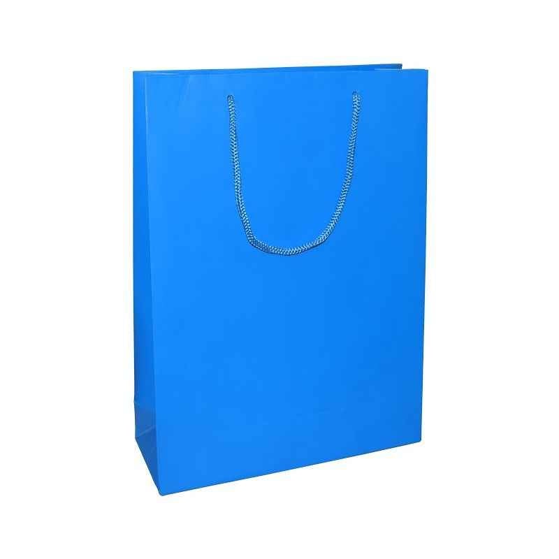 Aspen Matte Laminated Cyan Blue Paper Bag, AC-023-004 (Pack of 96)