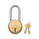 Godrej Navtal 7 Levers Brass Padlock (2 Keys), 3597