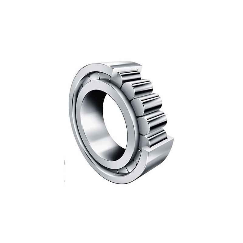 Buy FAG 25x62x17mm Cylindrical Roller Bearing, NJ305-E-XL-TVP2 Online At  Price ₹690