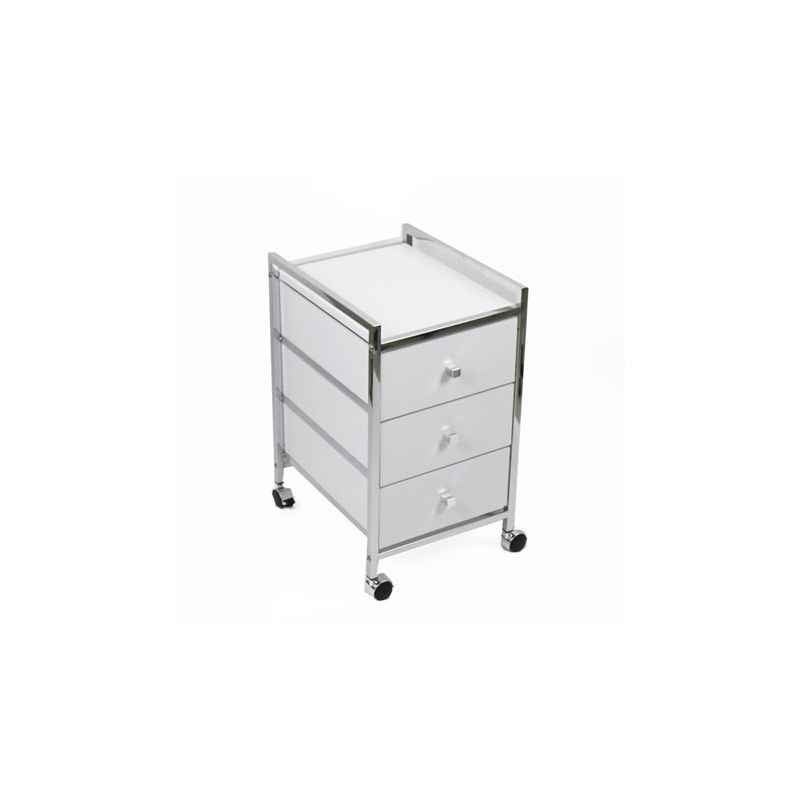 Stainless Steel Storage Trolley, Size: 1700x600 mm