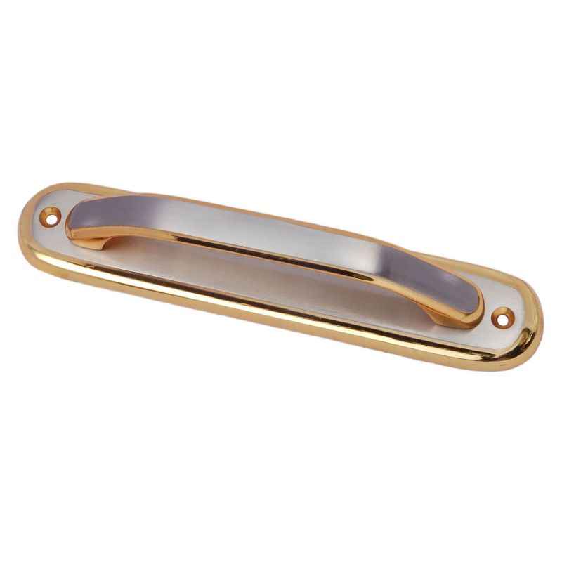 Smart Shophar 8 Inch Brass Gold Silver Fern Plate Handle, 50853-BPHF-GS08