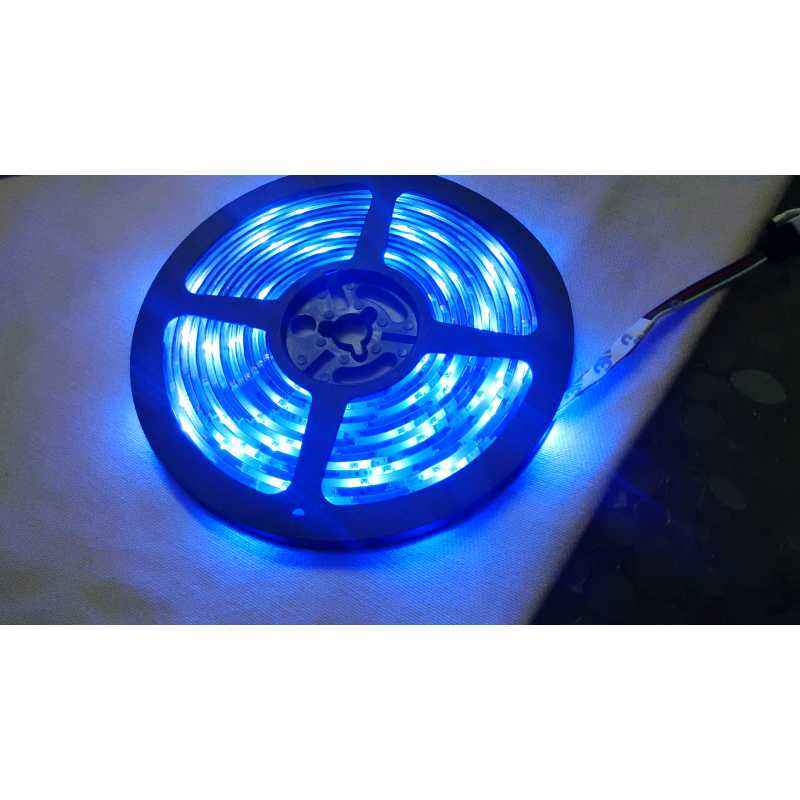 Blackberry Overseas 5m Water Proof Blue Colour Self Adhesive LED Strip Light