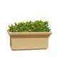 Fox B 11 Inch Rectangular Beige German Polymer Planter, BT 261213-B