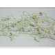 Tucasa Muti Colour LED White Capsule String Light, DW-52