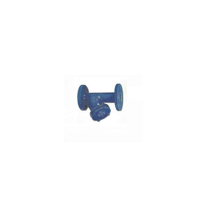 Divine C.I. MS Perforated Strainer CM Fittings Foot Valve, Size: 125 mm