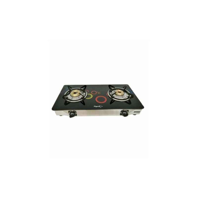 pigeon smart 2 burner gas stove