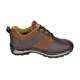 Rich Field SGS1120BRN6 Low Ankle Steel Toe Brown Work Safety Shoes, Size: 7