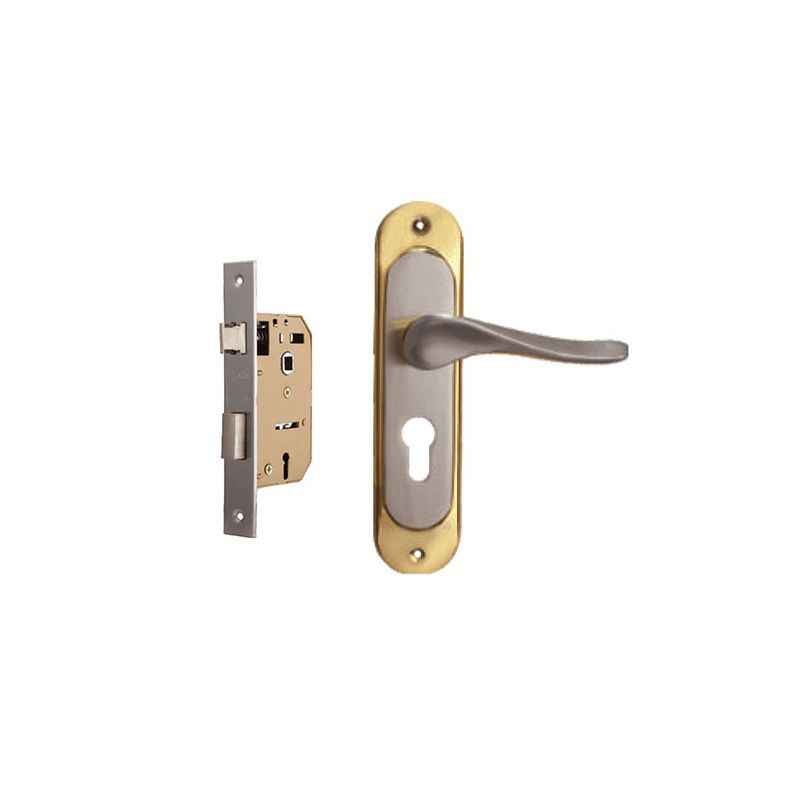 Plaza Audi Gold Silver Finish Handle with 65mm Mortice Lock & 3 Keys