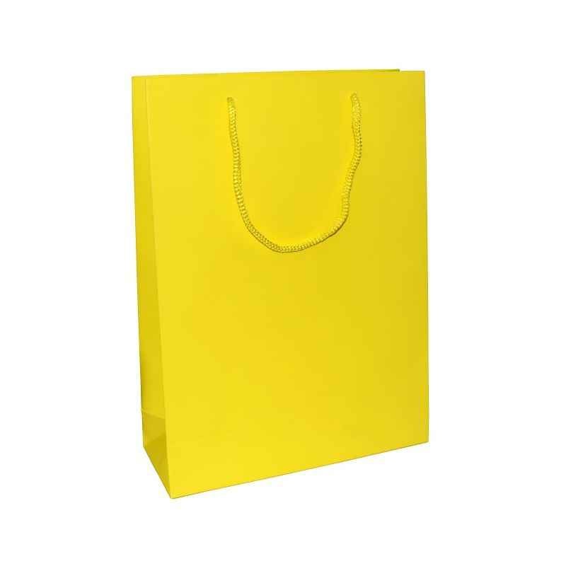 Aspen Matte Laminated Yellow Paper Bag, AC-032-004 (Pack of 96)