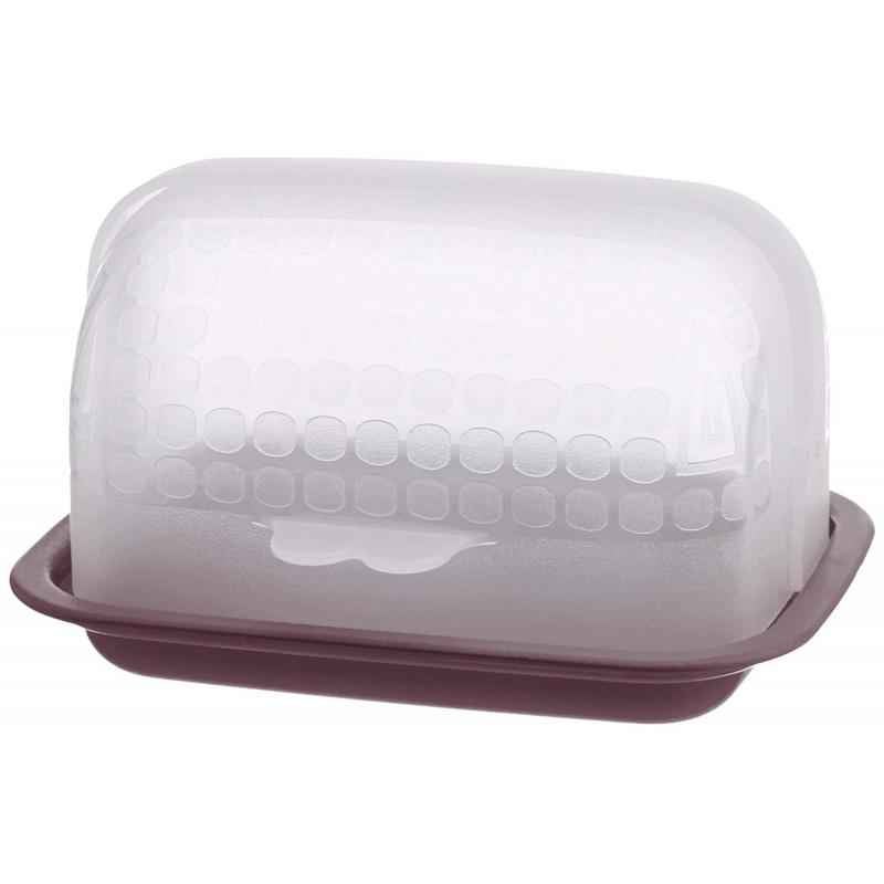 Signoraware Maroon Small Butter Box, 305