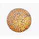 The Brighter Side Shell Ceiling Light
