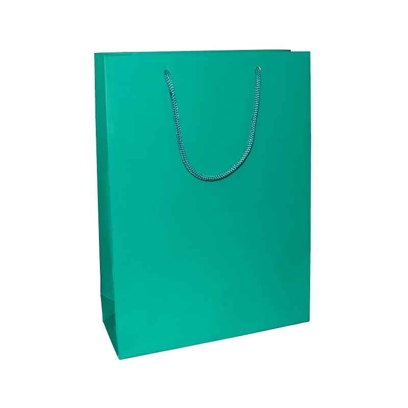 Aspen Matte Laminated Parrot Green Paper Bag, AC-026-004 (Pack of 96)