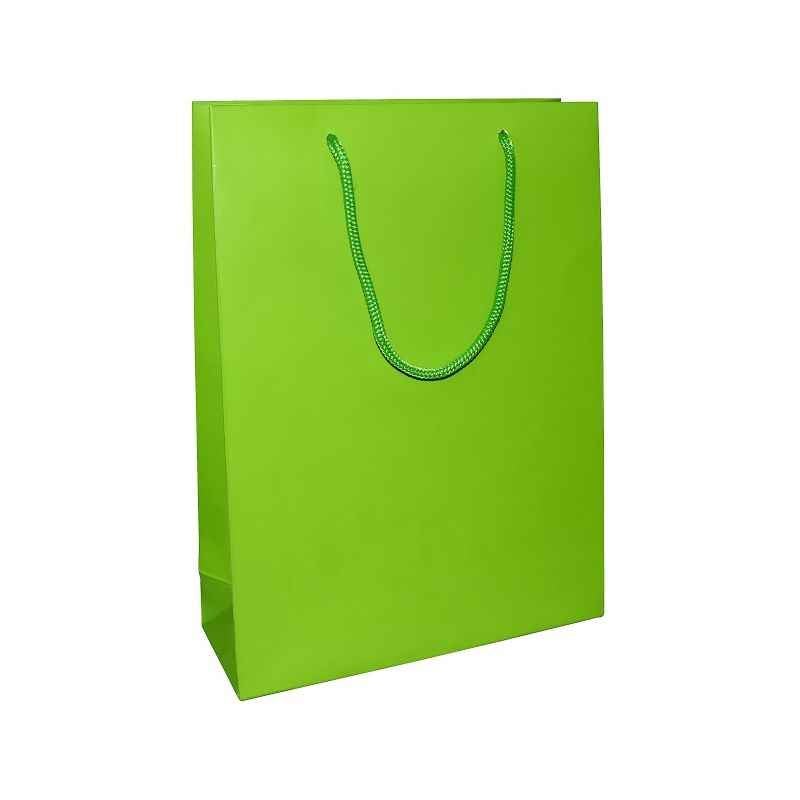 Aspen Matte Laminated Green Paper Bag, AC-024-020 (Pack of 96)