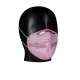 3M 9003 IN Pink Particulate Respirator (Pack of 5)