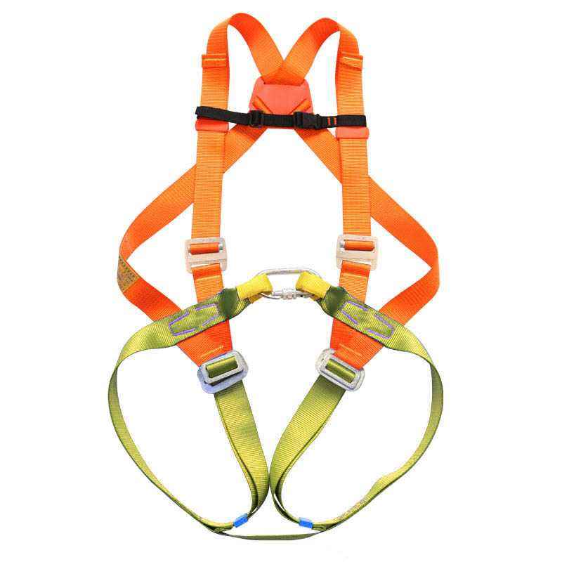 Alko Plus Double Rope Carabine Hook Full Body Harness, APS-401 (Pack of 2)
