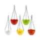 Gardens Need 5 Pcs 10x19x52cm 100% Virgin Plastic Passion Multicolour Hanging Planter with Iron Chain�