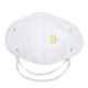 3M Valved Dust/Mist Respirator Mask AS/NZS P1, 9004V (Pack of 10)