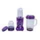 Wonderchef Nutri-Blend 400W Purple Mixer Grinder with 3 Jars, 63152295