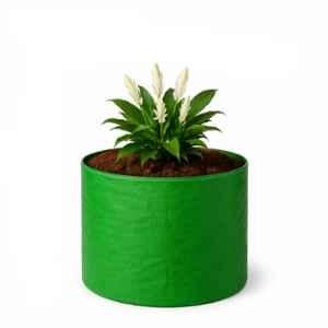 India Green Innovative 12x12 inch 220GSM HDPE Green Round UV Treated Grow Bag for Terrace & Home Gardening (Pack of 10)