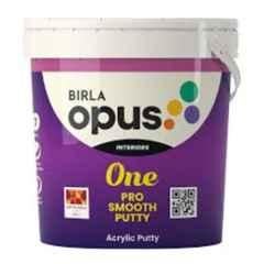 Birla Opus 20kg Acrylic White One Pro Smooth Putty