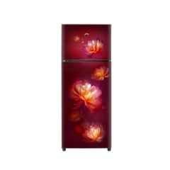 Godrej Eon Valor 244 Litre 2 Star Lisa Wine Double Door Refrigerator, RT EONVALOR 280BN RCIF