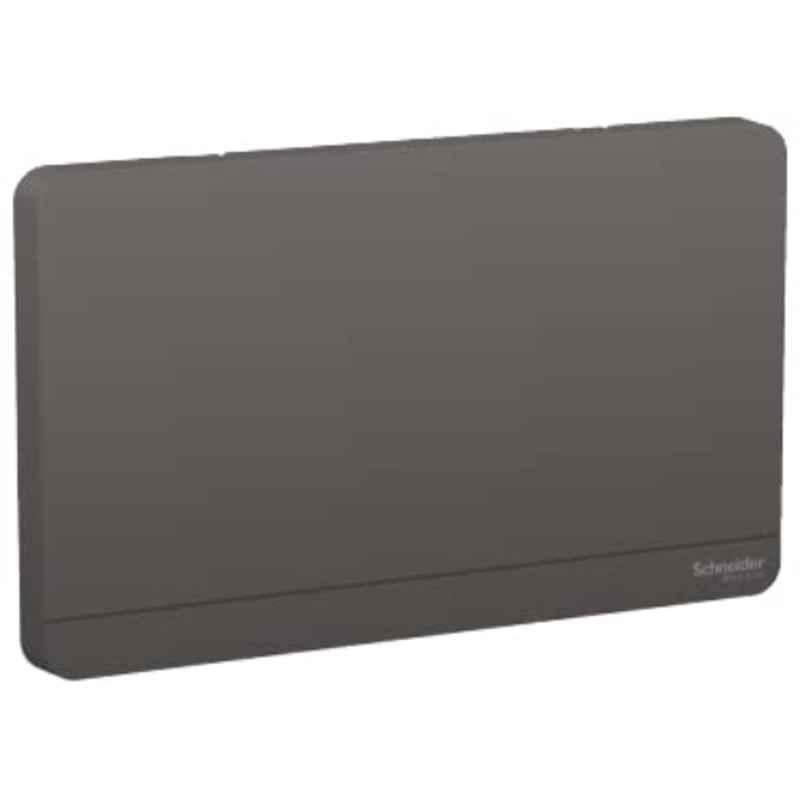 Schneider AvatarOn Dark Grey Polished 2G Blank Plate, E8330TX-DG