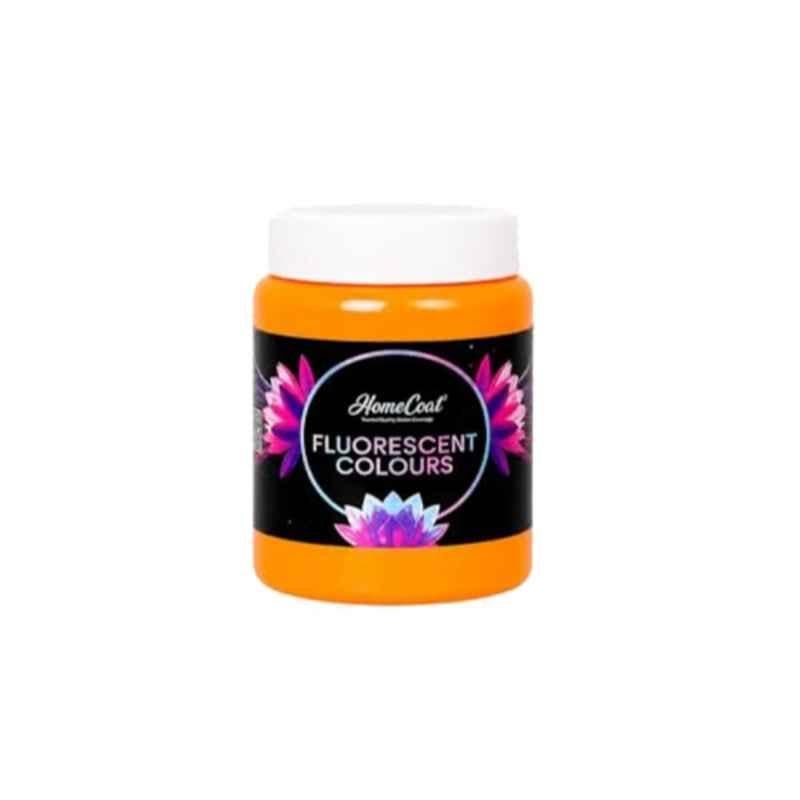 WinnerOne HomeCoat 500ml Chrome Fluorescent Colour, FC204 (Pack of 2)