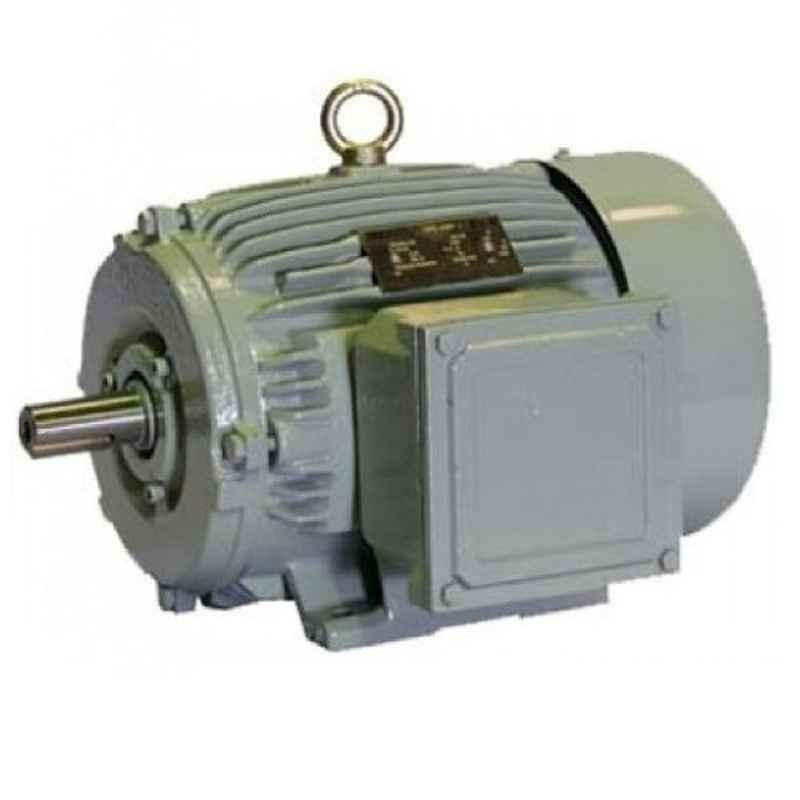 Crompton Greaves 2HP Single Phase 4 Pole AC Induction Motor, GF7010