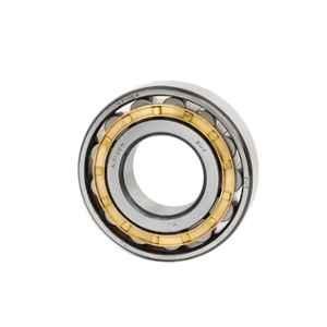 ZWZ NU219M Chrome Steel Cylindrical Roller Bearing, 95x170x32 mm