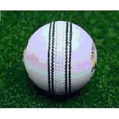 HTM T-20 Premium White Leather Cricket Ball