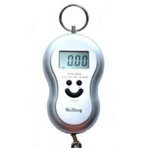 Virgo Digital Portable Luggage Kitchen Weighing Machine, v-04SILVER