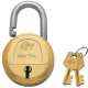 Godrej Navtal 7 Levers Brass Padlock (3 Keys), 7169