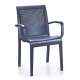Cello Ecstasy Image Series Chair, Dimension: 890x605x570 mm