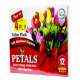 Petals 4 Ply Toilet Paper Roll (Pack of 12)