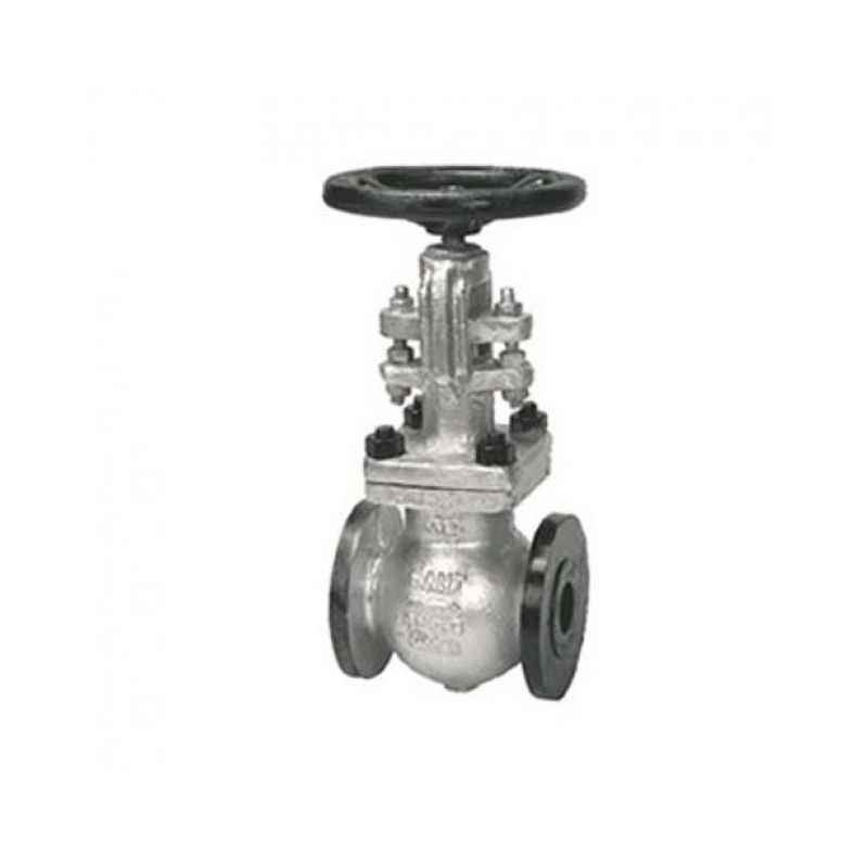 Sant 2.5 Inch Cast Steel Globe Valve, CS 9