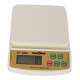 Stealodeal Combo of 10kg Kitchen & 50kg hanging Weighing Scale