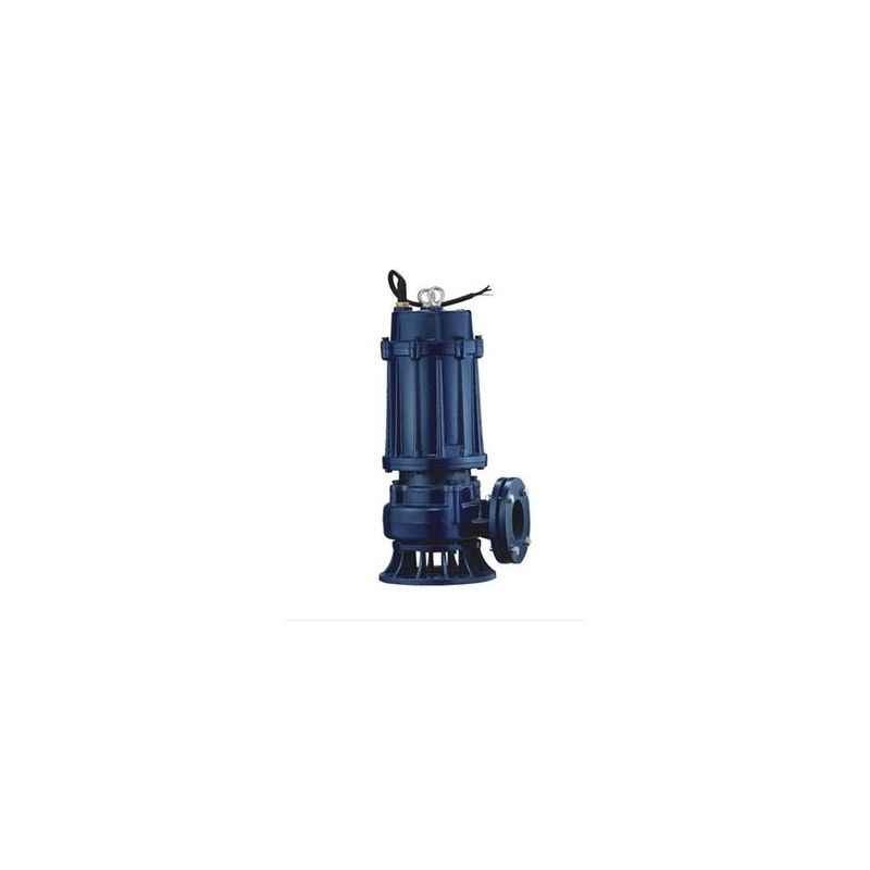Blairs 1HP Cast Iron Double Channel Sewage Pump, CSVP 10-10-0.75