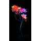 VRCT 10W B-22 Classic Pink Tree Decorative LED Light Bulbs, HD-357