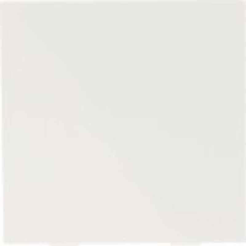 Indoasian 2M Blank Plate, 800052
