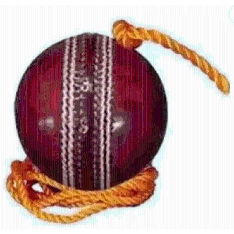 APPSS Sports 0332 APS Leather Standard Red Cricket Hanging Ball