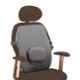 Flamingo Maroon Medium Back Rest